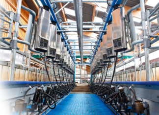 Современное оборудование для животноводства: какие решения облегчат работу фермеров