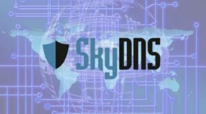 SkyDNS: защита интернета на уровне DNS