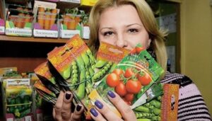 Выбор семян: как не промахнуться и получить хороший урожай
