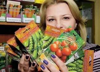 Выбор семян: как не промахнуться и получить хороший урожай