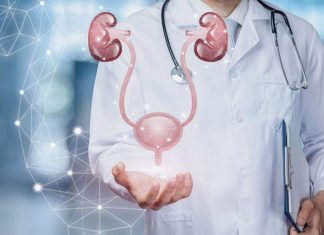 Всё об урологии: диагностика, лечение и профилактика заболеваний