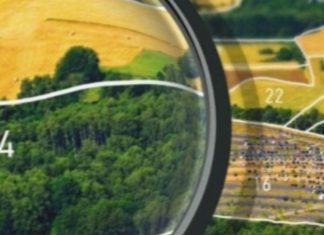 Оценка земельного участка: в каких случаях она необходима и почему важна