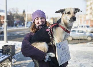 В каких странах права животных приравнены к правам человека