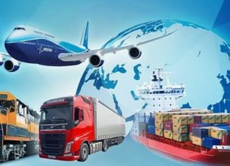 Современные грузоперевозки: полный спектр транспортных услуг