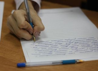 Что входит в эссе: разбор структуры и обязательных элементов