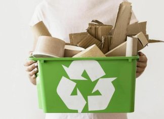 Важность сдачи вторсырья: экологический и экономический вызов